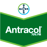 ANTRACOL WP70